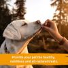 Dog Treats, Skinless Chicken Wrapped Sweet Potato, Gluten and Grain Free, Chewy Dog Bites for Balanced Nutrition, 6 oz