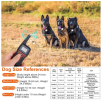 3280FT Dog Training Collar IP67 Waterproof Pet Beep Vibration Electric Shock Collar