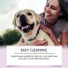 Yegbong Pet Tooth Spray, Care And Clean Pet Mouth Teeth To Stains And Yellow Care Spray