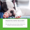 Yegbong Dietary Supplements For Dogs, Natural Antibiotic