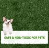 Dog Grass Mat, Indoor Potty Training, Pee Pad for Pet----Two pieces
