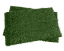 Dog Grass Mat, Indoor Potty Training, Pee Pad for Pet----Two pieces