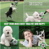Dog Football Interactive Toy Dog Ball, Durable For Large And Medium-sized Dogs