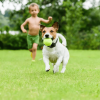 Wireless Electric Dog Fence Pet Shock Boundary Containment System Electric Training Collar For Small Medium Large Dogs
