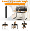 Dog Bowl Stand with 2 Stainless Steel Food Water Bowls
