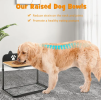 Dog Bowl Stand with 2 Stainless Steel Food Water Bowls