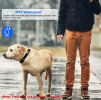 Dog Training Collar Receiver IP67 Waterproof Dog Bark Shock Collar Accessories Adjustable Belt