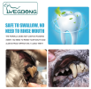 Pet toothpaste dog fresh breath in addition to bad breath tartar cleaning cats and cats oral care edible