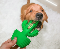 Cactus Shape Dog Toothbrush Stick Puppy Dental Care Brushing Stick Effective Doggy Teeth Cleaning Massager Natural Rubber Bite Resistant Chew Toy