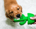 Cactus Shape Dog Toothbrush Stick Puppy Dental Care Brushing Stick Effective Doggy Teeth Cleaning Massager Natural Rubber Bite Resistant Chew Toy