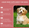 Yegbong Pet Dog Syrup Pampers Pet Dogs With Gentle Ingredients To Help Absorb Care Supplements