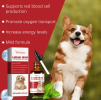 Yegbong Pet Dog Syrup Pampers Pet Dogs With Gentle Ingredients To Help Absorb Care Supplements