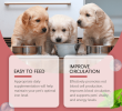 Yegbong Pet Dog Syrup Pampers Pet Dogs With Gentle Ingredients To Help Absorb Care Supplements