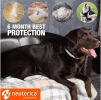 Natural Flea Tick Collar for Dogs 6 Months Control of Best Prevention Safe Treatment Anti Fleas and Ticks Essential Oil Repellent 1 Pack 2 Count