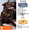 Natural Flea Tick Collar for Dogs 6 Months Control of Best Prevention Safe Treatment Anti Fleas and Ticks Essential Oil Repellent 1 Pack 2 Count
