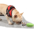 Food Dispenser Puppy Chewing Training Squeaky Leakage Ball Teething Toy Puzzle Dog Molars Clean Teeth Bite-Resistant Bouncy Ball Rubber Ball