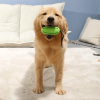 Food Dispenser Puppy Chewing Training Squeaky Leakage Ball Teething Toy Puzzle Dog Molars Clean Teeth Bite-Resistant Bouncy Ball Rubber Ball