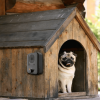 Ultrasonic Anti-barking Device Max 26.2Feet Sensing Sonic Bark Deterrent with 3 3 Ultrasonic Frequency Levels Indoor Outdoor Dog Bark Control