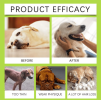 Yegbong Dog Care Drops, A Comprehensive thy Dietary Supplement To Nutrition And Rejuvenate Dogs