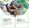 Yegbong Pet Care Supplement To Enhance The Health Of Pets Gentle Ingredient Care Supplement