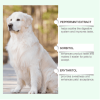 Yegbong Pet Care Supplement To Enhance The Health Of Pets Gentle Ingredient Care Supplement