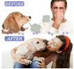 Yegbong Tooth Cleaning Spray For Cats And Dogs, Tooth Stains Fresh Breath Pets Oral Care Spray