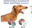 Yegbong Tooth Cleaning Spray For Cats And Dogs, Tooth Stains Fresh Breath Pets Oral Care Spray