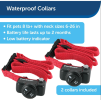 PetSafe Basic In-Ground Pet Fence – Includes TWO Waterproof Collars