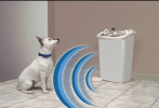 PetSafe Pawz Away Indoor Pet Barrier