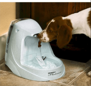 Drinkwell Platinum Pet Fountain