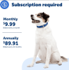 PetSafe Guardian GPS + Tracking Dog Fence Collar – Wireless Dog Fence with Real