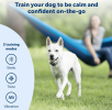 PetSafe 300 Yard Standard Remote Trainer