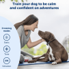 PetSafe 600 Yard Standard Remote Trainer