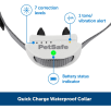 PetSafe Classic In-Ground Fence Receiver Collar