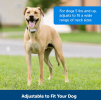 PetSafe Classic In-Ground Fence Receiver Collar