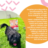 I And Love And You - Dog Food Baked Saucy Ckn - Case Of 1 - 10.25 Lb
