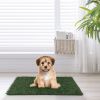 Dog Grass Mat, Indoor Potty Training, Pee Pad for Pet----Two pieces