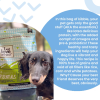 I And Love And You - Dog Kibble Lamb And Bison - Case Of 4-4 Lb