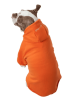 Fashion Plush Cotton Pet Hoodie Hooded Sweater