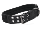 Super strong medium/large dog collar with D-Ring & Buckle
