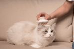 Pet Life 'Scwubba' Handheld Bathing Brushing and Massaging Soft Flexible Grooming Pet Comb