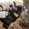 Metallic Fashion Pet Parka Coat
