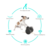 PawPartner Dog Tumbler Interactive Toys Increases Pet IQ Slow Feeder
