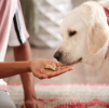 Milk-Bone Dog Treat