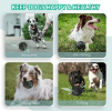 PawPartner Dog Ball Toy Squeaky Giggle Interactive Puppy Ball For Aggressive Chewers Indestructible Chew Toys For Small/Medium