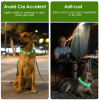 USB Rechargeable LED Dog Collar Multi-Color Lighting Dog Safety Collar Cuttable Length Glow Dog Collar For Small Medium Large Dog Night Walking