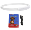 USB Rechargeable LED Dog Collar Multi-Color Lighting Dog Safety Collar Cuttable Length Glow Dog Collar For Small Medium Large Dog Night Walking