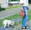Pet Life 'Posh Walk' Purse Dog Leash, Accessory Holder and Waste Bag Dispenser