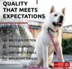Reflective Cotton Dog Collar Eco Friendly Alt to Nylon Collar for Small Medium and Large Dogs Adjustable Male Female Dog Collar 14-23 inch Neck x