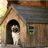 Ultrasonic Anti-Barking Device Rechargeable Auto Dog Bark Control Deterrent Box Training Device IPX4 Waterproof with 3 Frequency Max 32.8Feet Sen